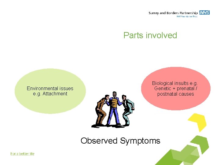 Parts involved Environmental issues e. g. Attachment Biological insults e. g. Genetic + prenatal