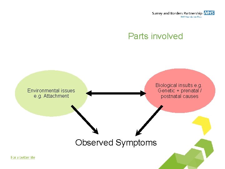Parts involved Environmental issues e. g. Attachment Biological insults e. g. Genetic + prenatal