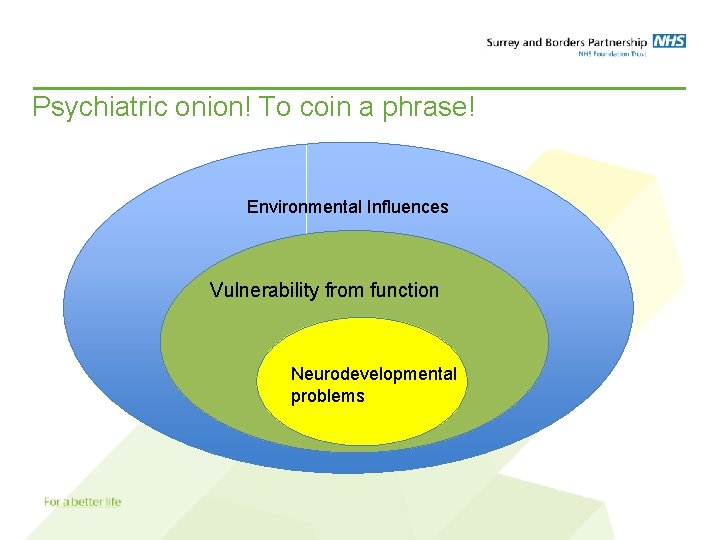 Psychiatric onion! To coin a phrase! Environmental Influences Vulnerability from function Neurodevelopmental problems 