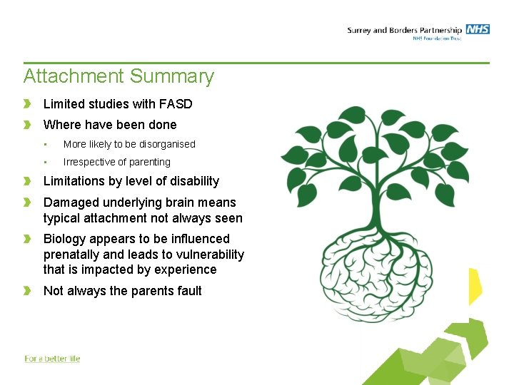 Attachment Summary Limited studies with FASD Where have been done • More likely to