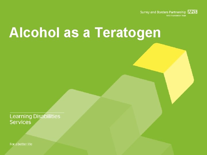 Alcohol as a Teratogen 