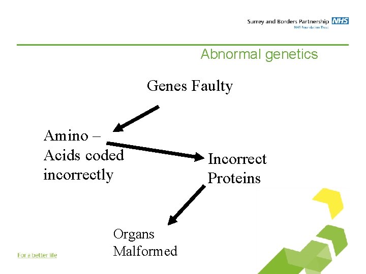 Abnormal genetics Genes Faulty Amino – Acids coded incorrectly Organs Malformed Incorrect Proteins 