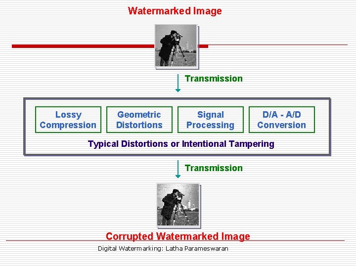 Watermarked Image Transmission Lossy Compression Geometric Distortions Signal Processing D/A - A/D Conversion Typical