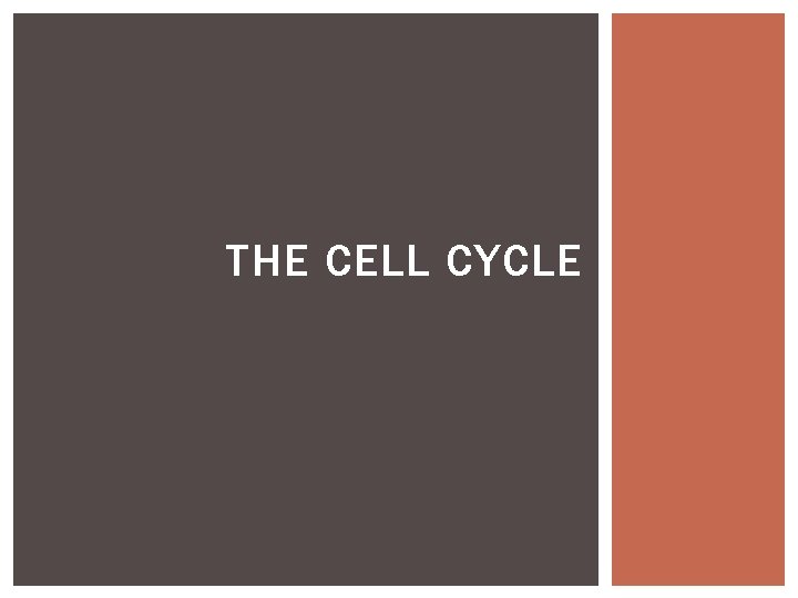 THE CELL CYCLE 