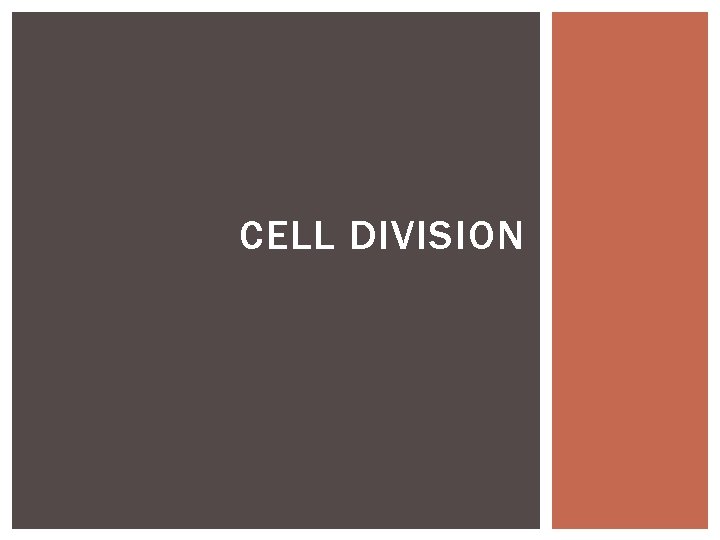 CELL DIVISION 