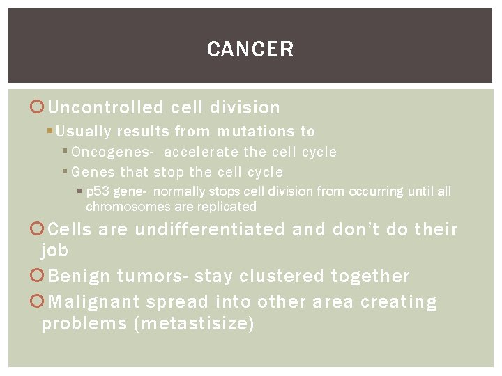 CANCER Uncontrolled cell division § Usually results from mutations to § Oncogenes- accelerate the