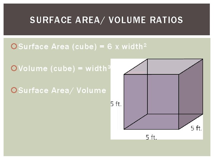 SURFACE AREA/ VOLUME RATIOS Surface Area (cube) = 6 x width 2 Volume (cube)