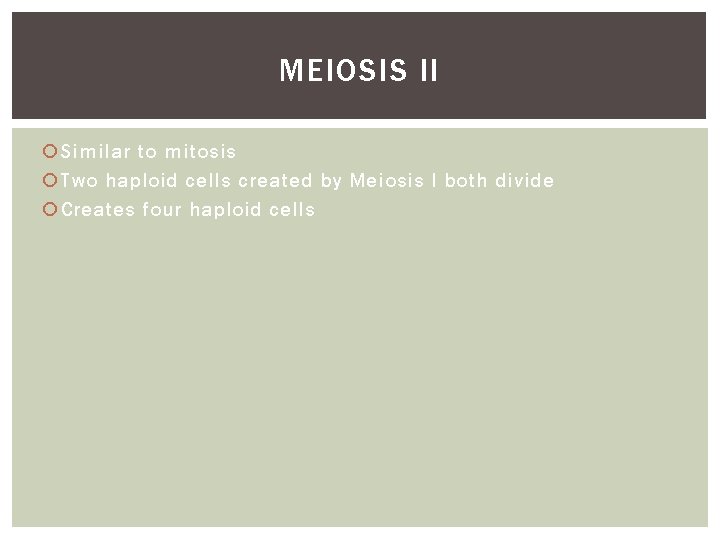 MEIOSIS II Similar to mitosis Two haploid cells created by Meiosis I both divide