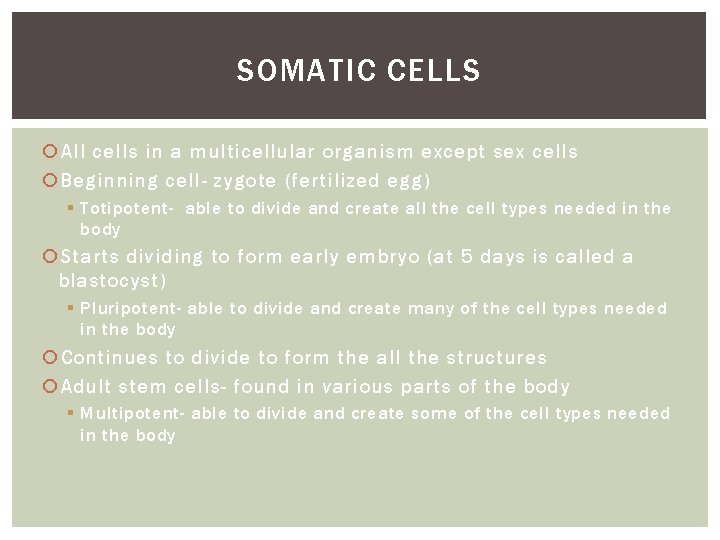 SOMATIC CELLS All cells in a multicellular organism except sex cells Beginning cell- zygote