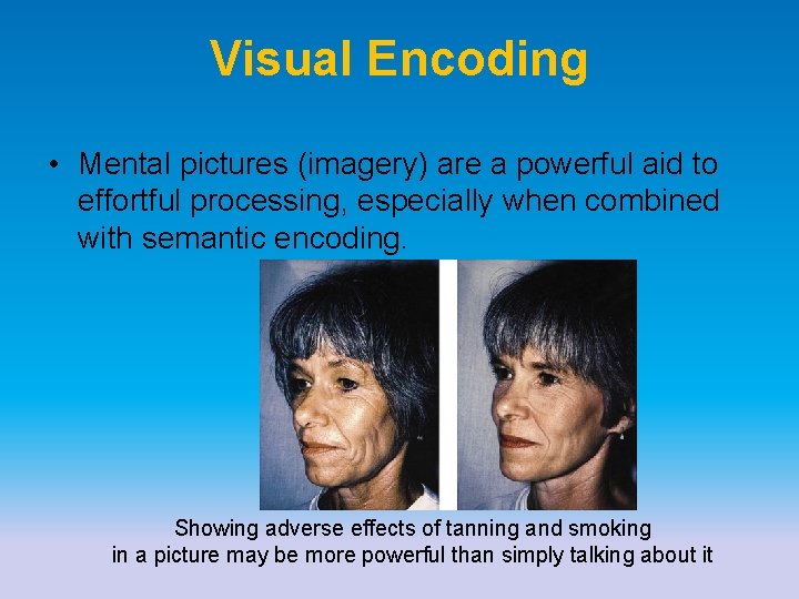 Visual Encoding • Mental pictures (imagery) are a powerful aid to effortful processing, especially