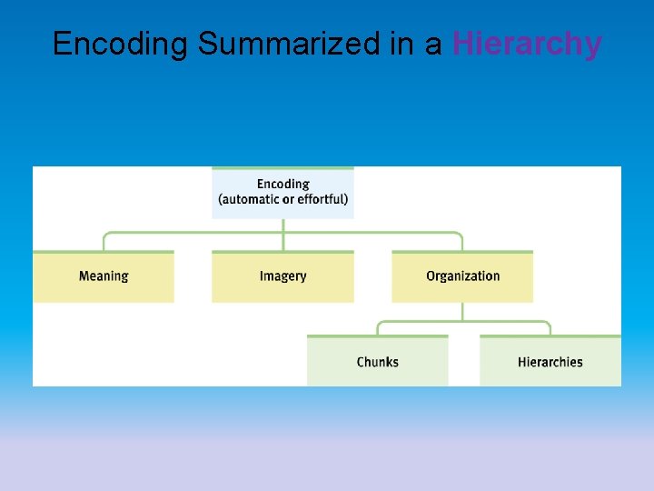 Encoding Summarized in a Hierarchy 
