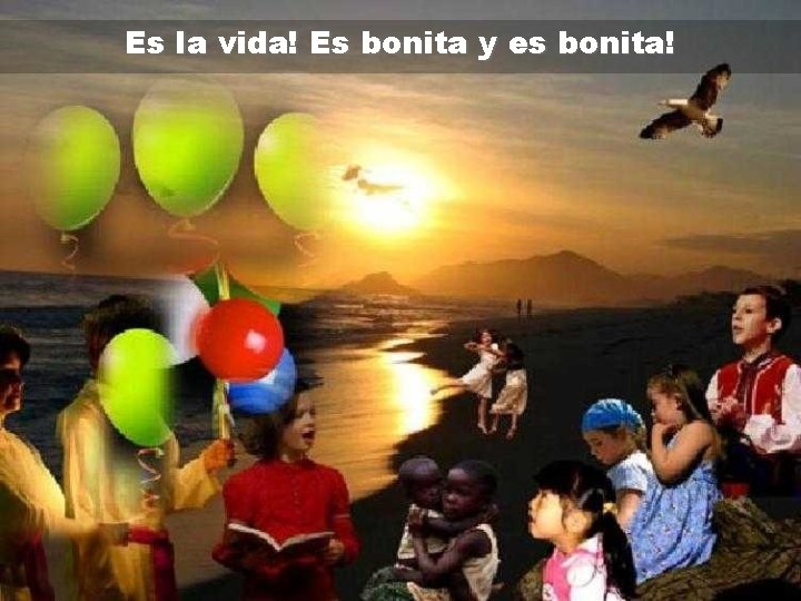 Es la vida! Es bonita y es bonita! 