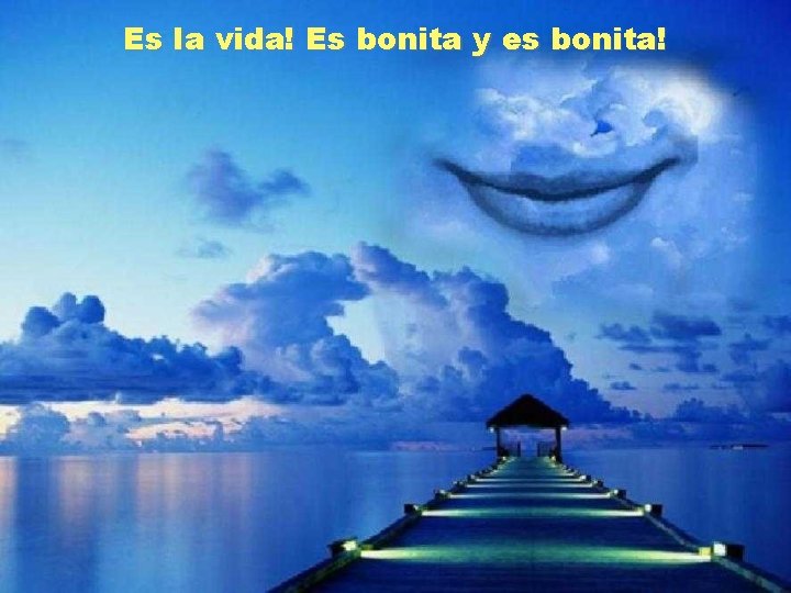 Es la vida! Es bonita y es bonita! 