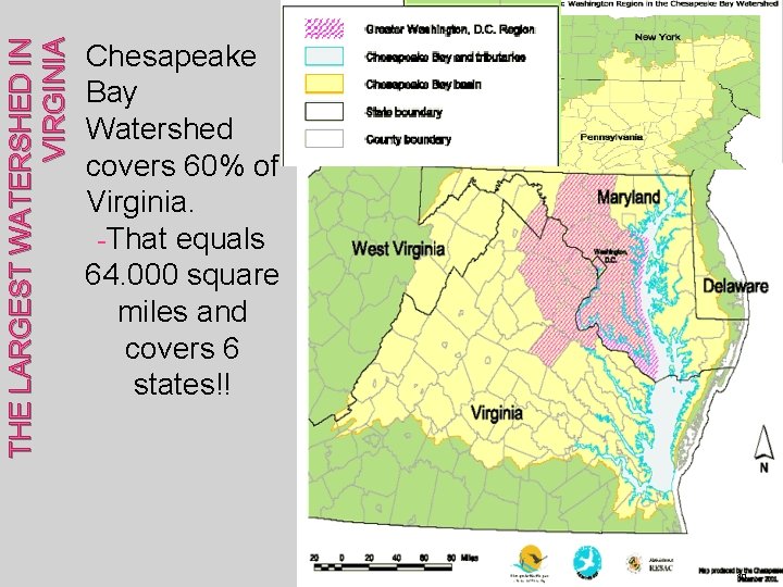 THE LARGEST WATERSHED IN VIRGINIA Chesapeake Bay Watershed covers 60% of Virginia. -That equals THE LARGEST WATERSHED IN VIRGINIA Chesapeake Bay Watershed covers 60% of Virginia. -That equals