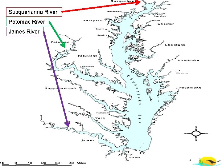 Susquehanna River Potomac River James River 5 Susquehanna River Potomac River James River 5
