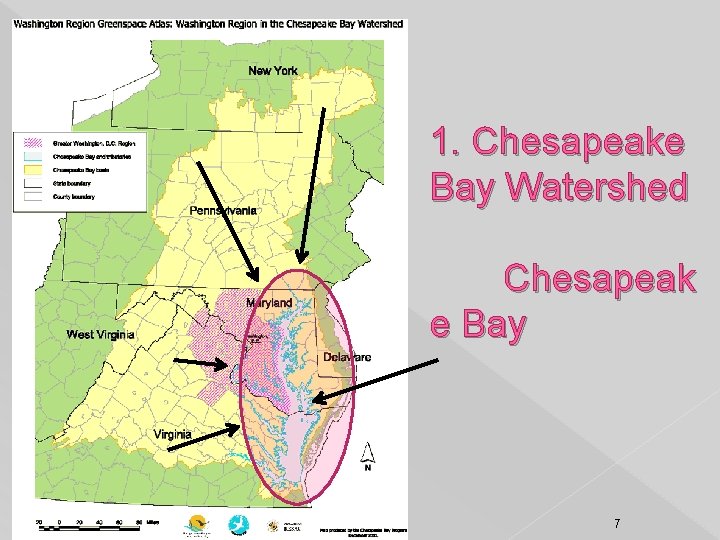 1. Chesapeake Bay Watershed Chesapeak e Bay 7 1. Chesapeake Bay Watershed Chesapeak e Bay 7