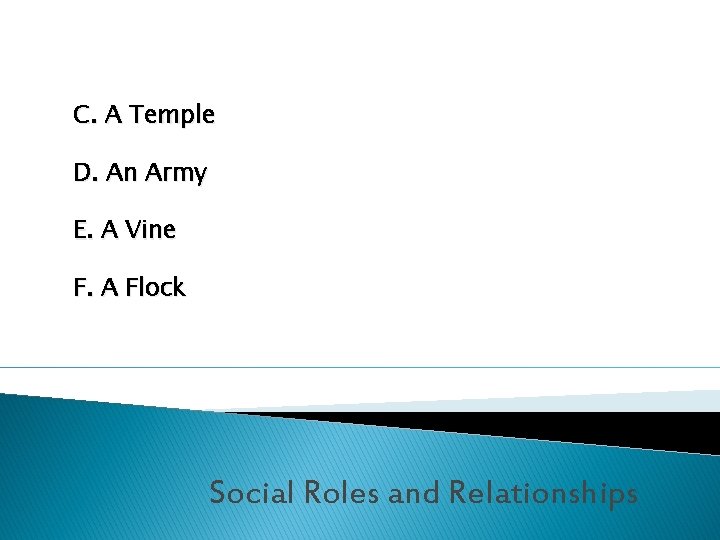 C. A Temple D. An Army E. A Vine F. A Flock Social Roles