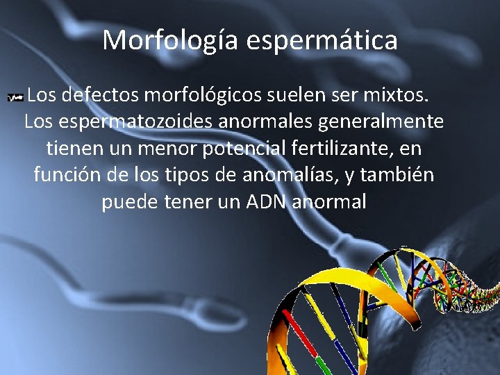 Morfología espermática Los defectos morfológicos suelen ser mixtos. Los espermatozoides anormales generalmente tienen un