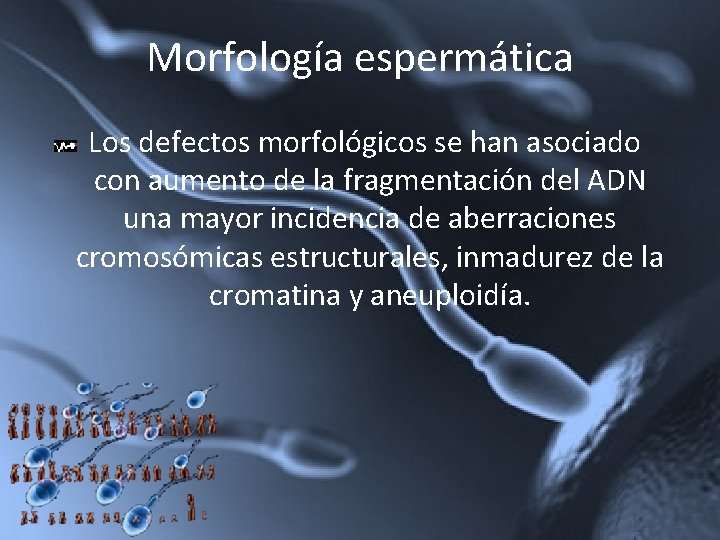 Morfología espermática Los defectos morfológicos se han asociado con aumento de la fragmentación del