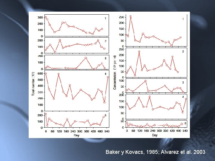 Baker y Kovacs, 1985; Alvarez et al. 2003 