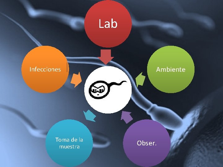 Lab Infecciones Toma de la muestra Ambiente Obser. 