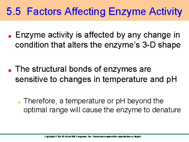 5. 5 Factors Affecting Enzyme Activity Enzyme activity is affected by any change in