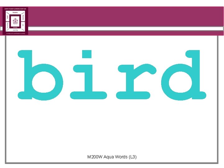 bird M 200 W Aqua Words (L 3) 