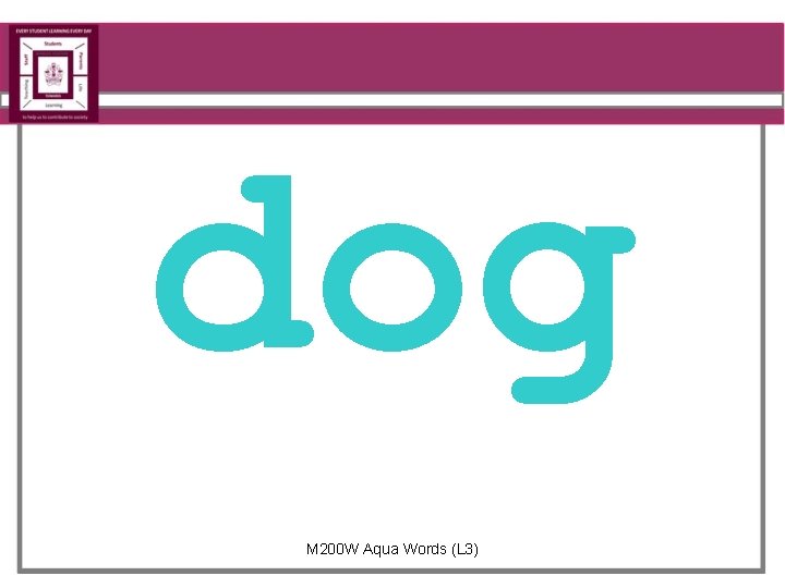 dog M 200 W Aqua Words (L 3) 