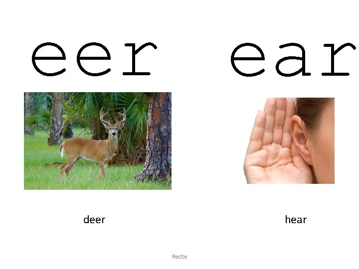 eer ear deer hear Recite 