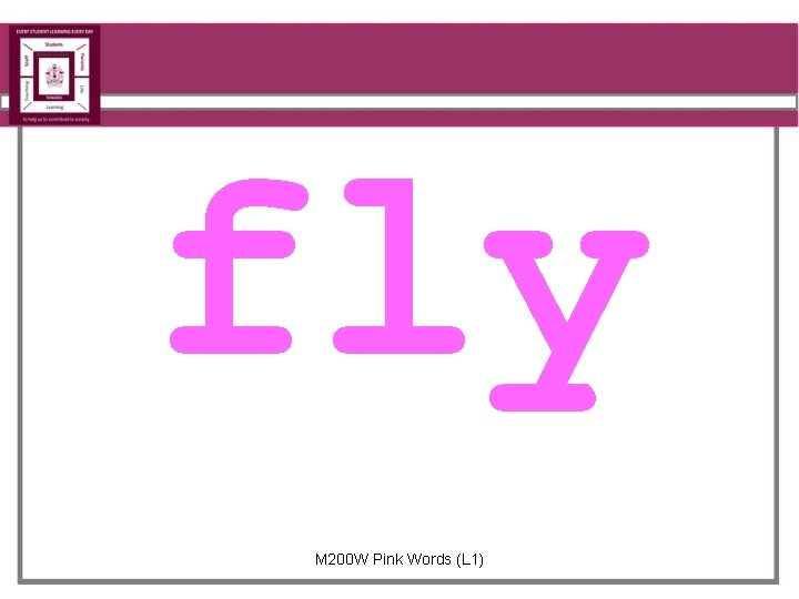 fly M 200 W Pink Words (L 1) 