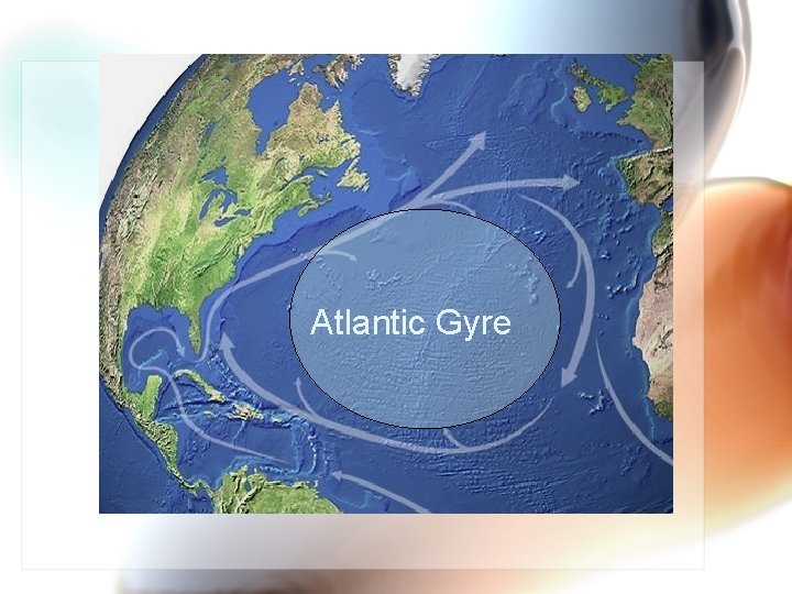 Atlantic Gyre 