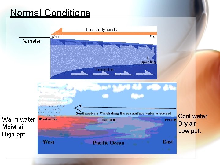 Normal Conditions ½ meter Warm water Moist air High ppt. Cool water Dry air