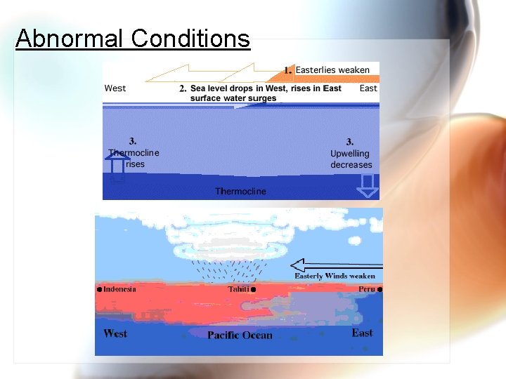 Abnormal Conditions 