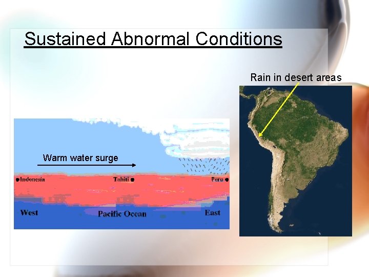 Sustained Abnormal Conditions Rain in desert areas Warm water surge 