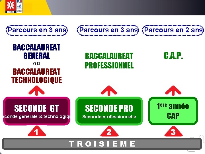 Parcours en 3 ans Parcours en 2 ans BACCALAUREAT GENERAL BACCALAUREAT PROFESSIONNEL ou BACCALAUREAT Parcours en 3 ans Parcours en 2 ans BACCALAUREAT GENERAL BACCALAUREAT PROFESSIONNEL ou BACCALAUREAT