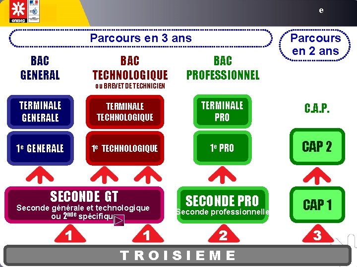 e Parcours en 3 ans BAC GENERAL BAC TECHNOLOGIQUE ou BREVET DE TECHNICIEN BAC e Parcours en 3 ans BAC GENERAL BAC TECHNOLOGIQUE ou BREVET DE TECHNICIEN BAC