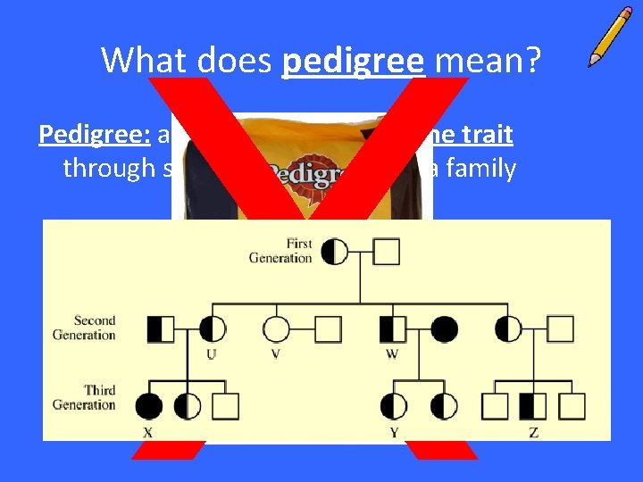 X What does pedigree mean? Pedigree: a diagram that traces one trait through several