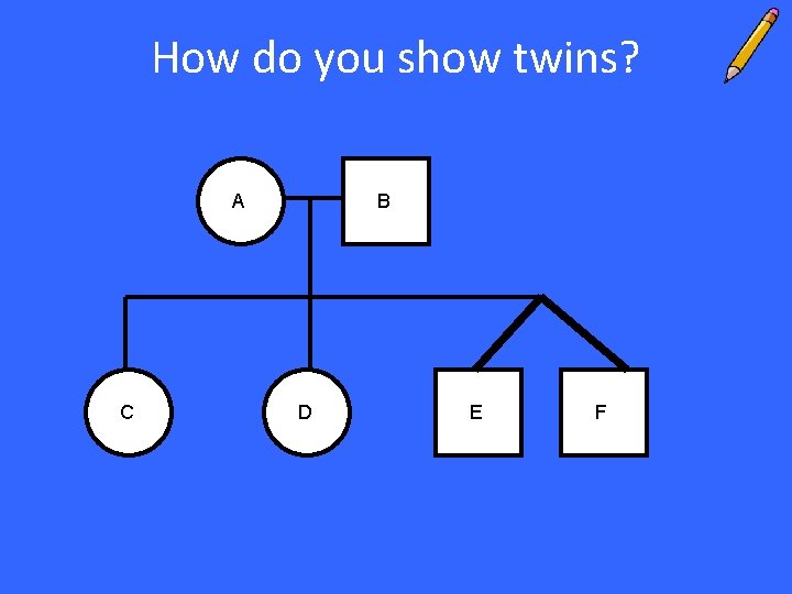 How do you show twins? A C B D E F 