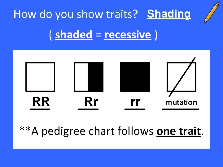 How do you show traits? Shading ( shaded = recessive ) RR Rr rr