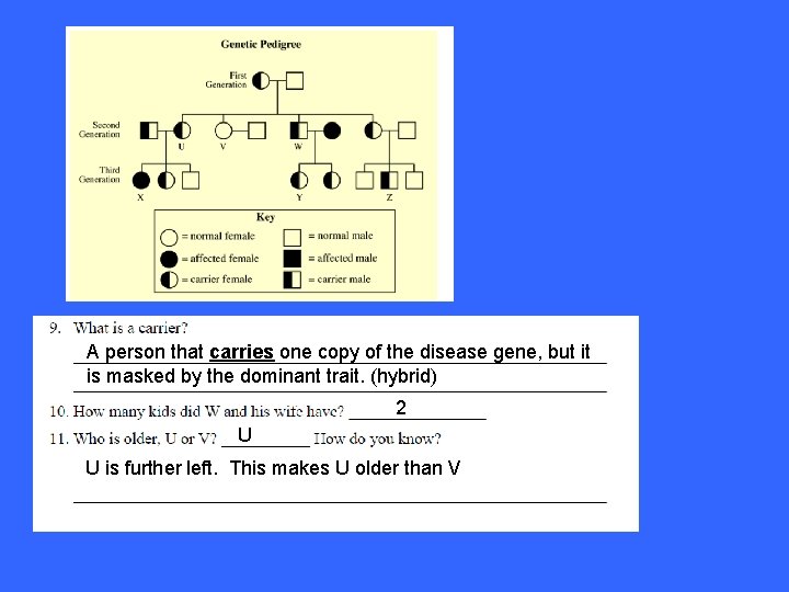 A person that carries one copy of the disease gene, but it is masked