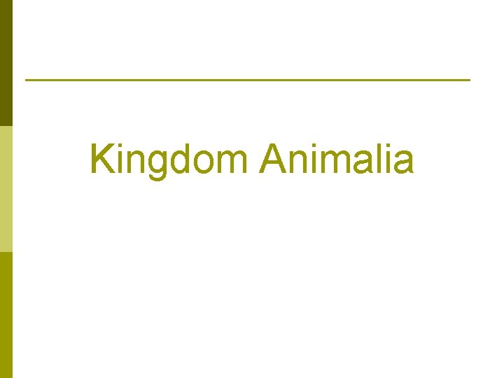 Kingdom Animalia 