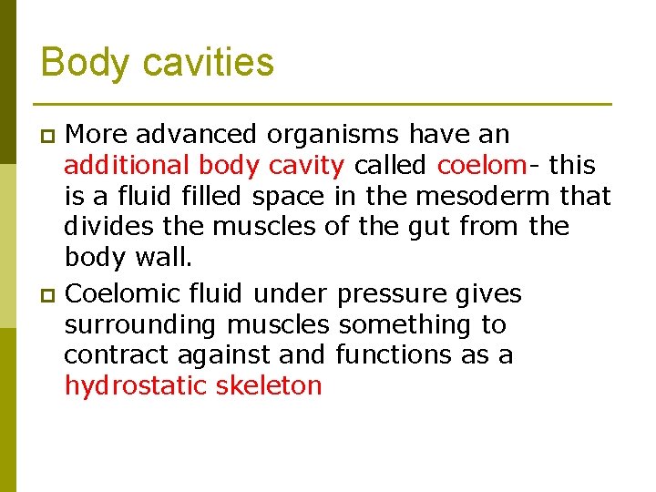 Body cavities More advanced organisms have an additional body cavity called coelom- this is