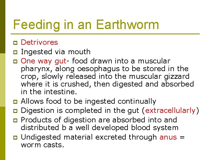 Feeding in an Earthworm p p p p Detrivores Ingested via mouth One way