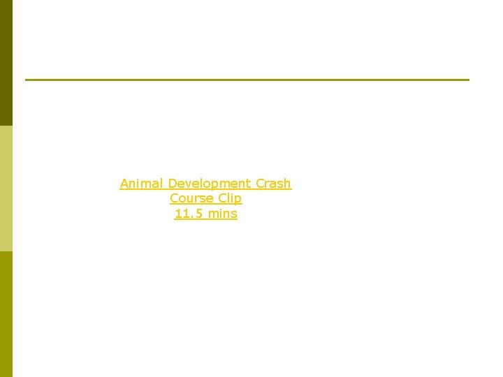 Animal Development Crash Course Clip 11. 5 mins 