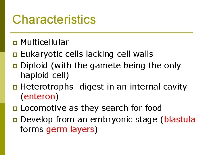 Characteristics Multicellular p Eukaryotic cells lacking cell walls p Diploid (with the gamete being