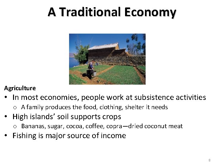 A Traditional Economy Agriculture • In most economies, people work at subsistence activities o