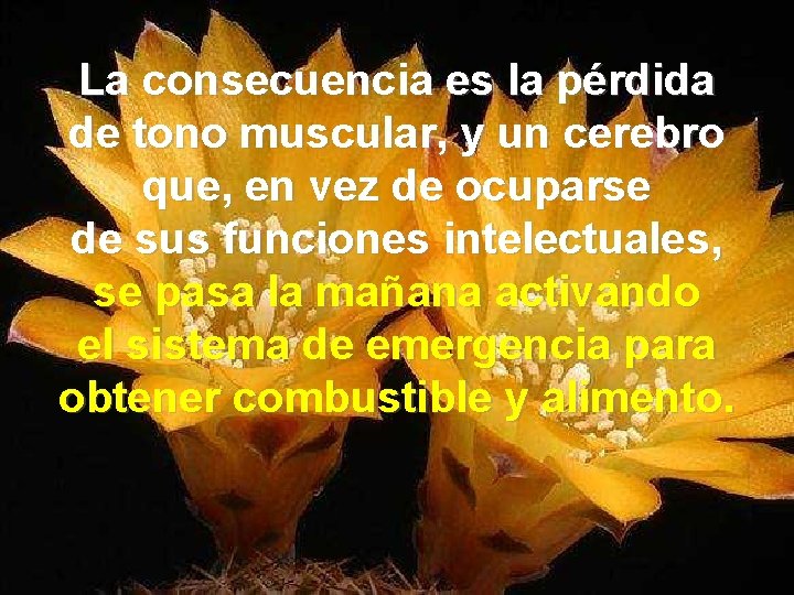 La consecuencia es la pérdida de tono muscular, y un cerebro que, en vez