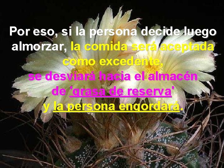 Por eso, si la persona decide luego almorzar, la comida será aceptada como excedente,