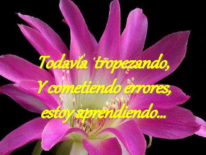 Todavía tropezando, Y cometiendo errores, estoy aprendiendo… 
