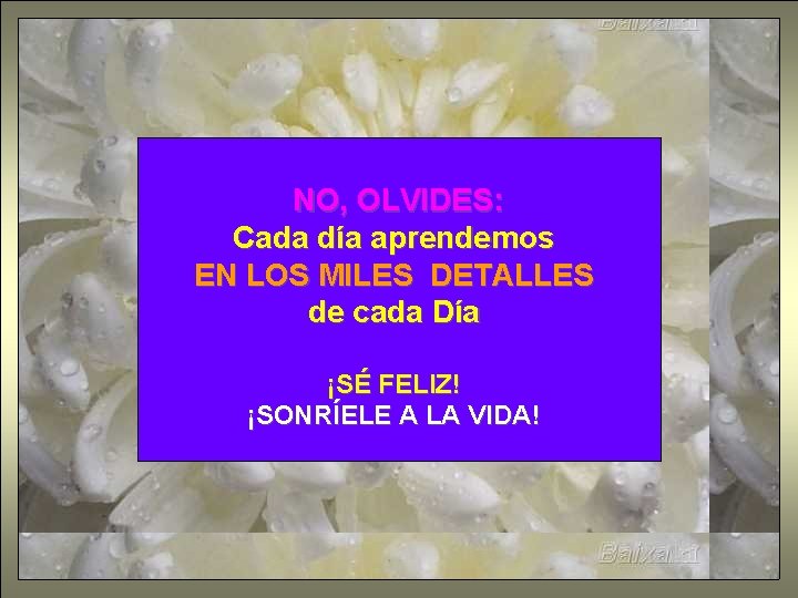 NO, OLVIDES: Cada día aprendemos EN LOS MILES DETALLES de cada Día ¡SÉ FELIZ!